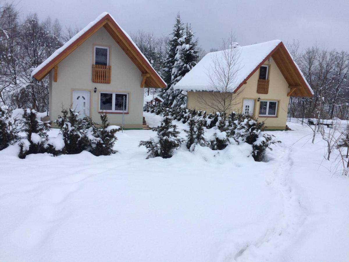 Lodge Nad Stawem.