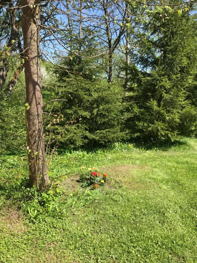 Lodge Nad Stawem.